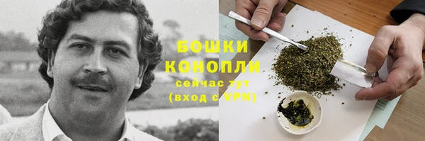 не бодяженный Беломорск
